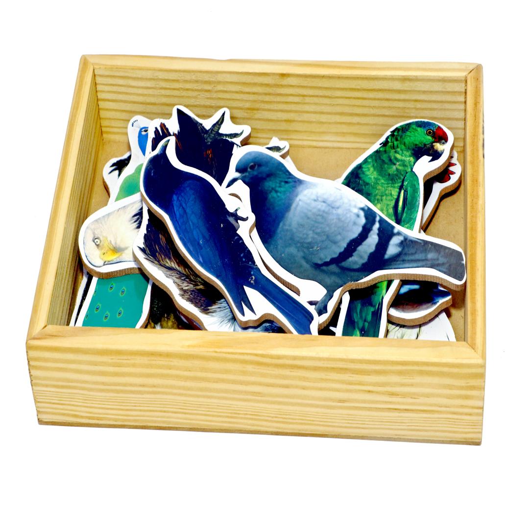 wooden bird megnatic toy